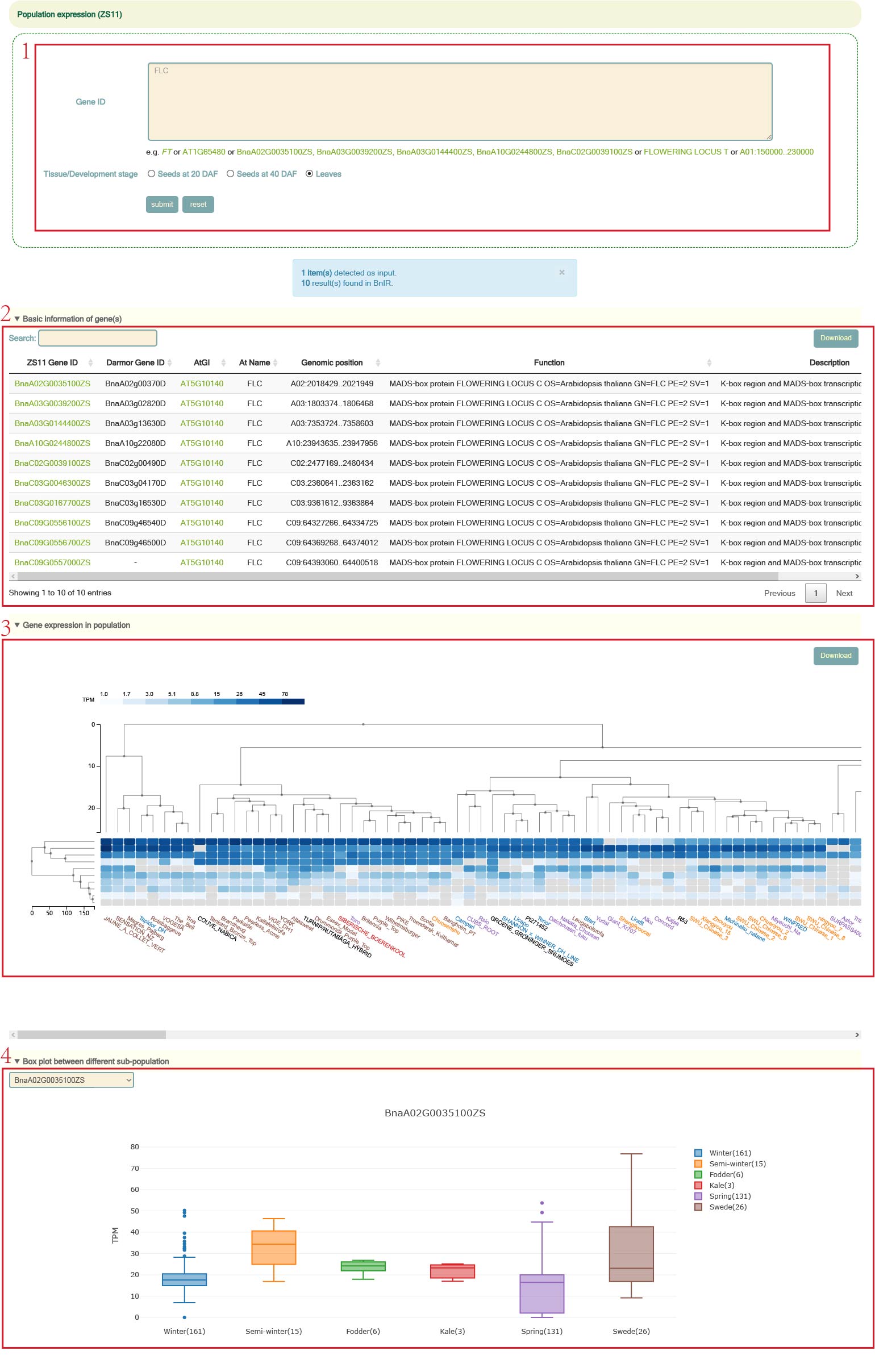 Loading multi-locus module